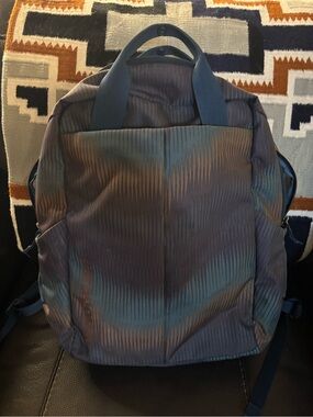 Patagonia backpack- Blue & Brown